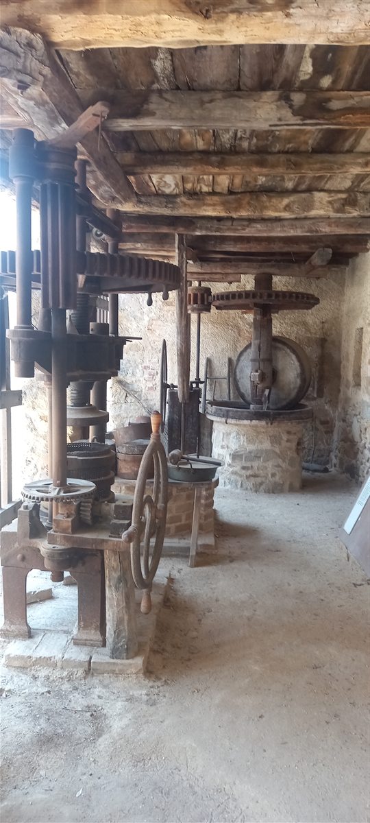 Museo torchio olio di noci